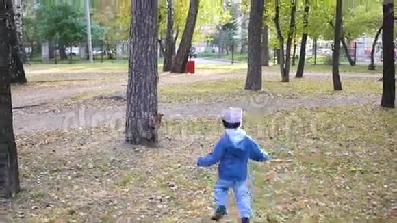 一个小孩子在公园里玩松鼠视频的预览图