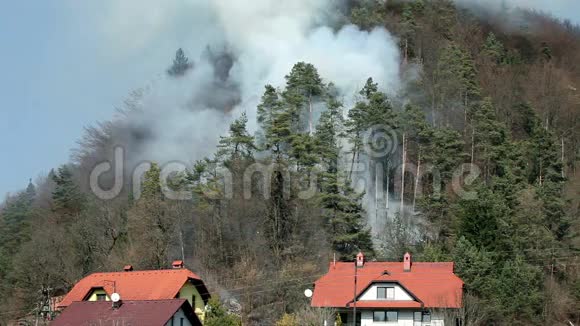 森林里危险的烟雾房子附近视频的预览图