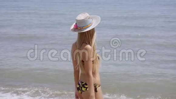 年轻女子站在海边眺望视频的预览图