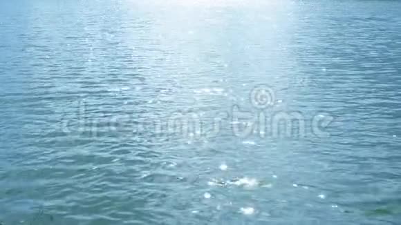 美的江水背景的形象视频的预览图
