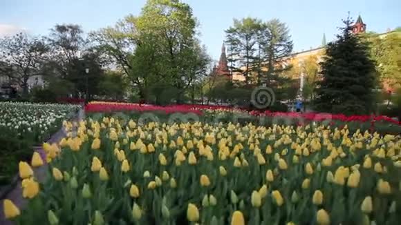 克里姆林宫花园视频的预览图