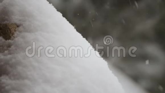 冬季降雪森林特写视频的预览图