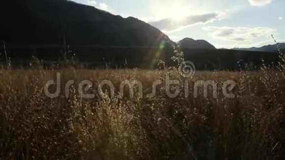 秋山谷里的草干了视频的预览图