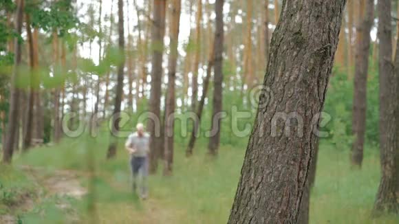 老人在针叶林的大自然中户外奔跑慢动作视频的预览图