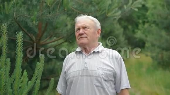 一个满脸皱纹的老人呼吸着常绿的树叶对着镜头微笑视频的预览图