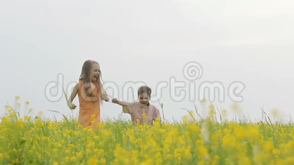 快乐的男孩和女孩玩得很开心带着黄花在草地上跑来跑去视频的预览图