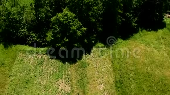 泰尔井口的空中景观塞尔维亚视频的预览图