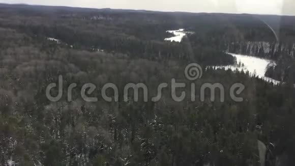 森林覆盖着雪空中景色视频的预览图