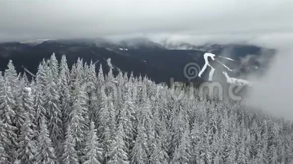 景色优美的冬季山景前景广阔视频的预览图