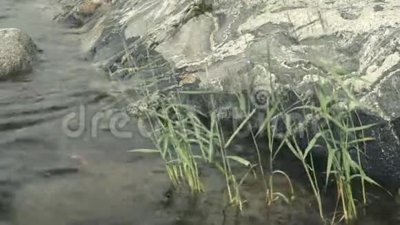 水会冲洗石头视频的预览图