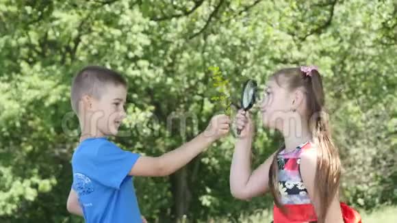 两个男孩和女孩在大自然背景下玩放大镜视频的预览图
