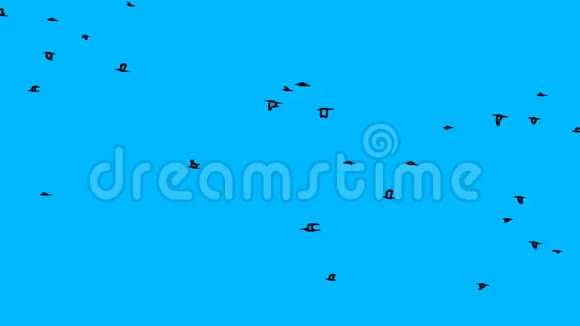 一群鸟在抽象的蓝色背景下飞翔视频的预览图