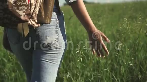 年轻的女游客穿过高高的草地女孩在地上用手触摸草地慢动作视频的预览图