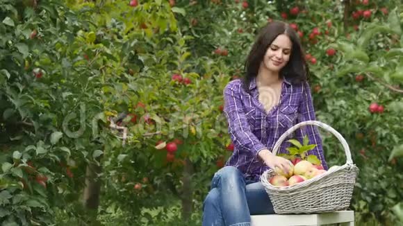 漂亮的年轻园丁女孩坐在木桌旁篮子里装满了水果尝了尝苹果水果视频的预览图