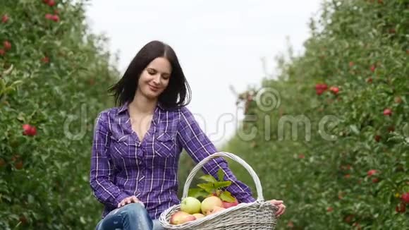 漂亮的年轻园丁女孩坐在木桌旁篮子里装满了水果尝了尝苹果水果视频的预览图
