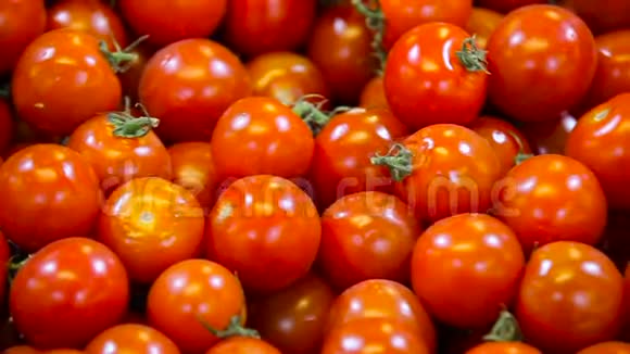 小的成熟的西红柿视频的预览图