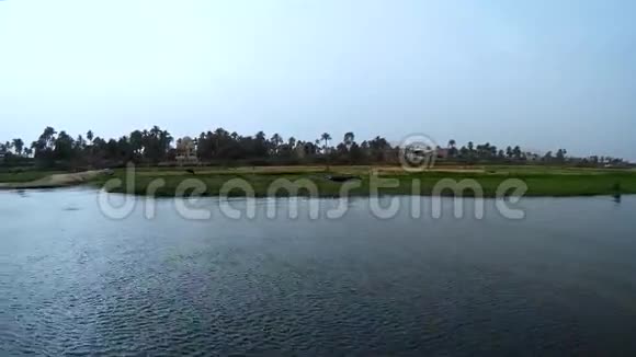 尼罗河畔卢克索房屋的景色视频的预览图