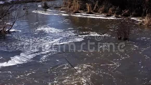 春天的河流视频的预览图
