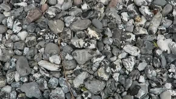 鲁根岛白垩岩悬崖的火石特写视频的预览图
