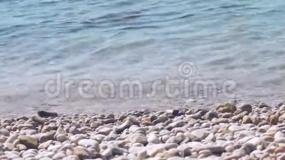 在鹅卵石海滩上冲浪视频的预览图