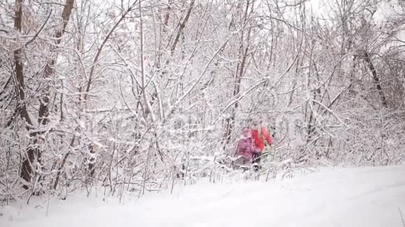 两个小女孩找到了走出冬林的路视频的预览图