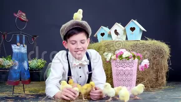 村穿着时尚可爱的男孩玩小鸭和小鸡工作室视频与主题装饰在里面视频的预览图