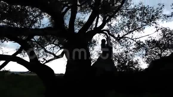 一对可爱的夫妇在树上的剪影视频的预览图