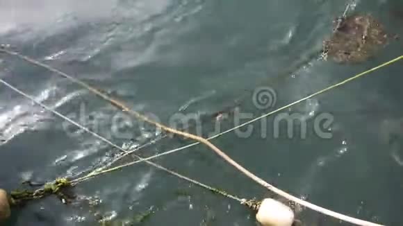 水在停泊的渔船周围流动视频的预览图