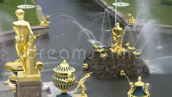 大瀑布著名的彼得戈喷泉在圣彼得堡俄罗斯从宫殿里看视频的预览图