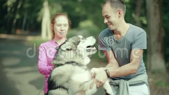 公园里一个男人抚摸一只狗视频的预览图