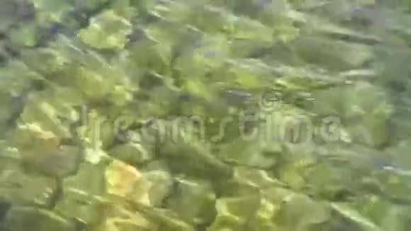 水下的石头和水面上的涟漪视频的预览图