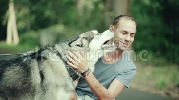公园里一个男人抚摸一只狗视频的预览图