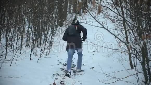 冬天一个人从树林里跑上山视频的预览图