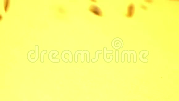 黄色背景下的南瓜种子慢动作特写镜头垂直平底锅2射击视频的预览图