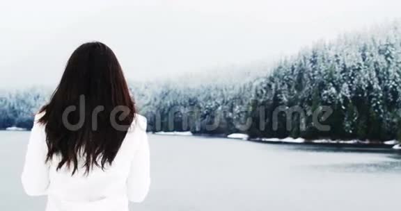 站在白雪覆盖的风景中的妇女的后景视频的预览图