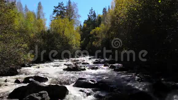 秋叶落在山河上视频的预览图