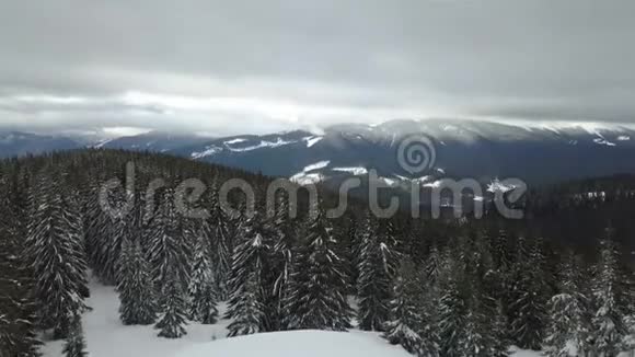 景色优美的冬季山景前景是白雪覆盖的南瓜视频的预览图