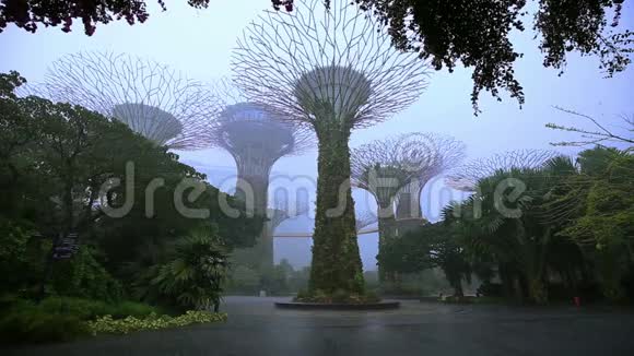 新加坡海湾边的花园下雨了视频的预览图