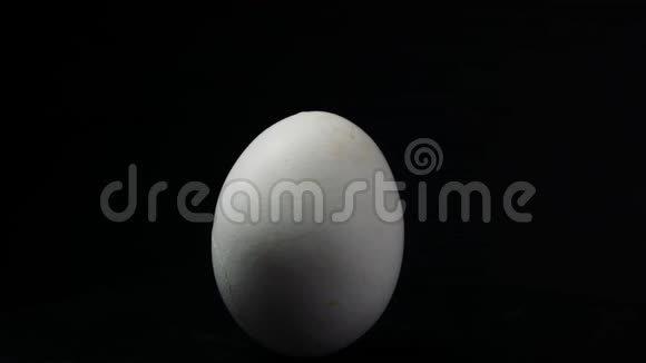在黑色背景上循环移动鸡蛋视频的预览图