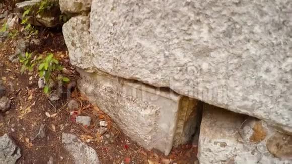 地中海地区一片森林中的古城奥林波斯废墟中一堵破墙的全景视频的预览图