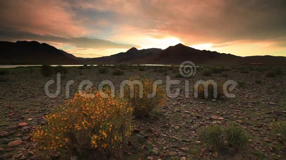 日落时分绽放的沙漠蒙古戈壁视频的预览图