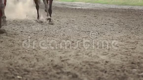 快速奔跑的马的膝盖慢动作视频的预览图