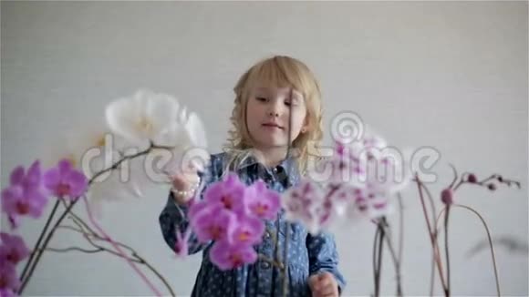 可爱的金发小女孩卷发在开花兰花视频的预览图