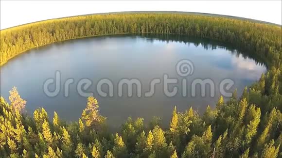 鸟瞰圆形湖泊和森林视频的预览图