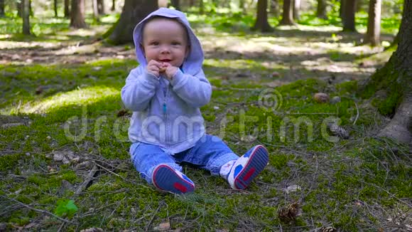 婴儿是婴儿坐在森林里吃饼干视频的预览图