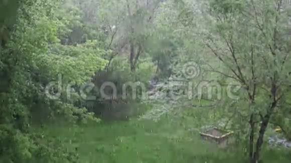 在公园的一个夏日里一场倾盆大雨大自然视频的预览图
