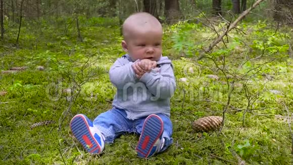 婴儿是婴儿坐在森林里吃饼干视频的预览图
