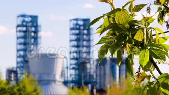 枝带绿叶的背景炼油厂工业和环境一起视频的预览图