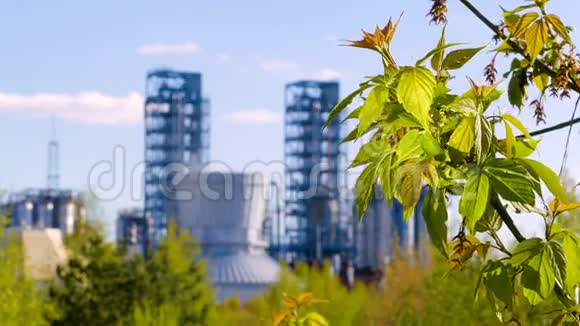 枝带绿叶的背景炼油厂工业和环境一起视频的预览图