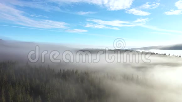 在云层之上飞行空中无人机4k电影日出雾蒙蒙的早晨和森林视频的预览图